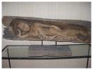 gal/Ma Statuaire/_thb_25.jpg